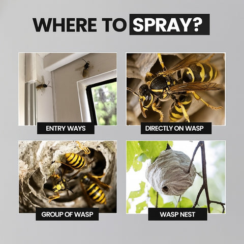 Wasp Nest Destroyer Foam Spray 300ml – Fast Acting Wasp Control Wasp Nest Destroyer Foam Spray 300ml – Fast Acting Wasp Control