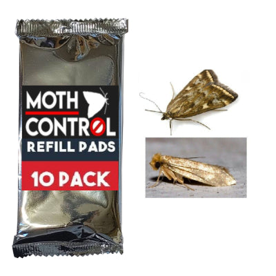 Clothes Moth & Pantry Moth Pheromone Refill Glue Pads (2 in 1) - Pack of 10 - Moth Control