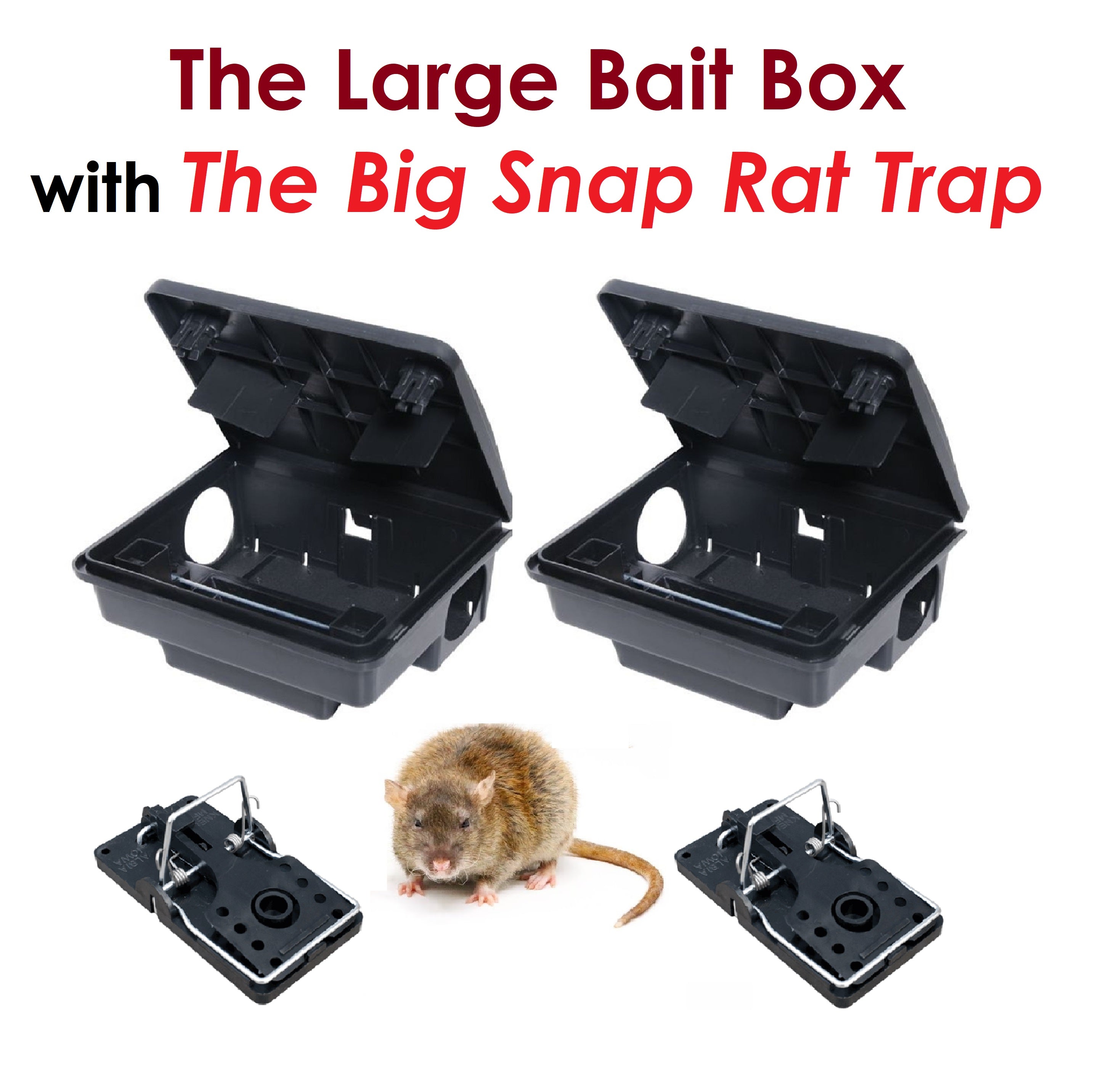 RAT MICE MOUSE RODENT PROTECTOR BAIT BOX and BIG SNAP TRAP (Made in US –  Moth Control