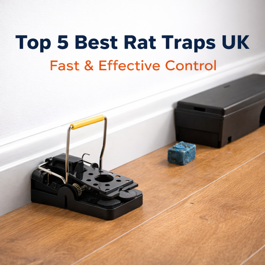 Snap rat trap placed along wall with bait station showing effective rat control setup in UK home