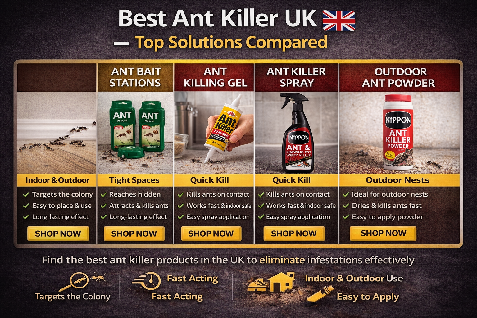 Best Ant Killer For Indoors Uk
