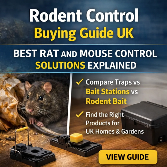 Get Rid of Rats & Mice Fast UK – Control Guide