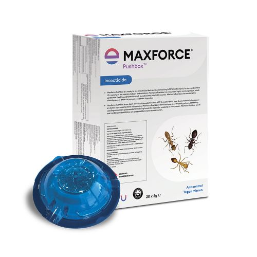 Maxforce Ant Killer Bait Station PushBox – Indoor & Outdoor Control (2g)