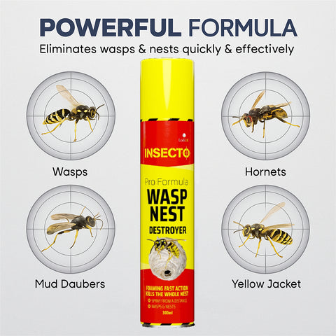 Wasp Nest Destroyer Foam Spray 300ml – Fast Acting Wasp Control