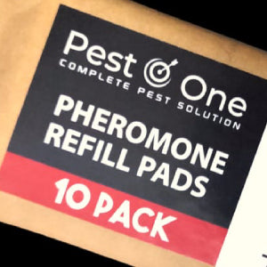 Clothe Moth Carpet Moth Food Moth Pheromone Refill Pads (Pack of 10) - Moth Control