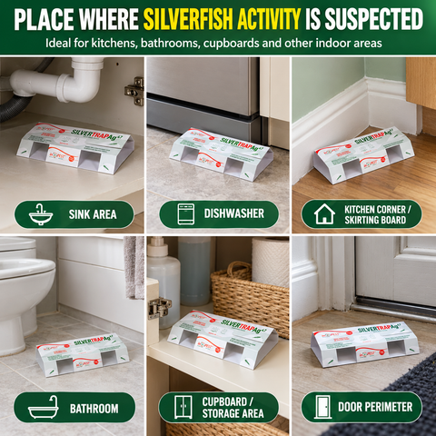 Silverfish Sticky Traps with Attractant Lure Discs – Indoor Monitoring