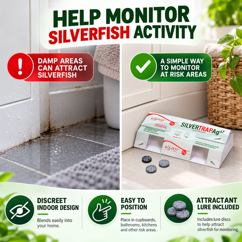Silverfish Sticky Traps with Attractant Lure Discs – Indoor Monitoring