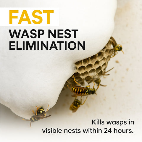 Wasp Nest Destroyer Foam Spray 300ml – Fast Acting Wasp Control