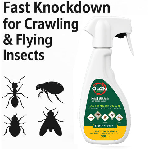 Oa2Ki Household Insect Area Spray 500ml – Water Based Low Odour Indoor Surface Spray