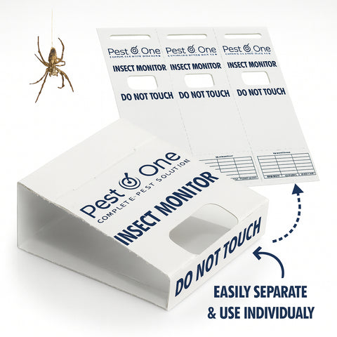 Spider and Crawling Insect Sticky Pads Non-Toxic Indoor Spider Catcher