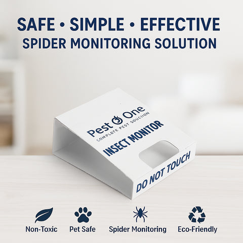 Spider and Crawling Insect Sticky Pads Non-Toxic Indoor Spider Catcher