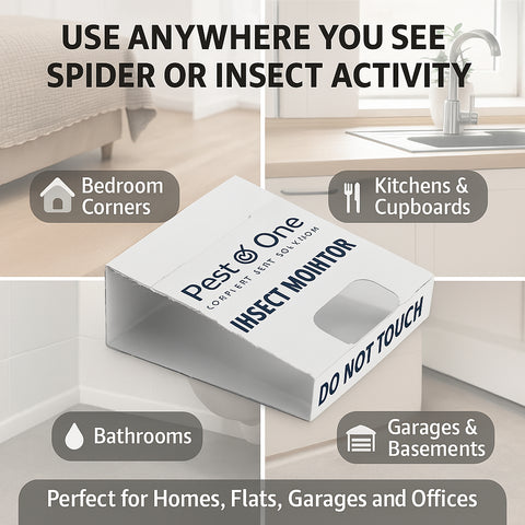 Spider and Crawling Insect Sticky Pads Non-Toxic Indoor Spider Catcher