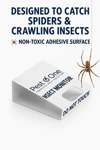 Spider and Crawling Insect Sticky Pads Non-Toxic Indoor Spider Catcher