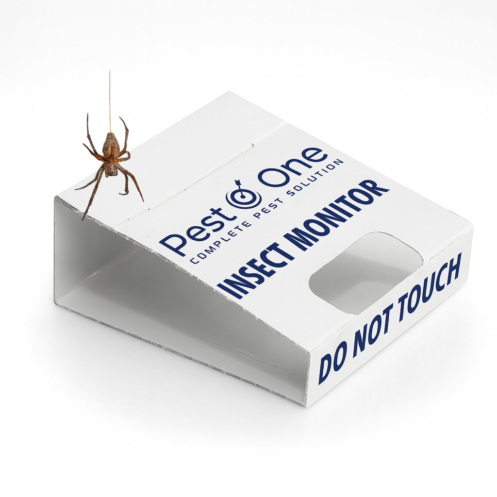 Spider and Crawling Insect Sticky Pads Non-Toxic Indoor Spider Catcher