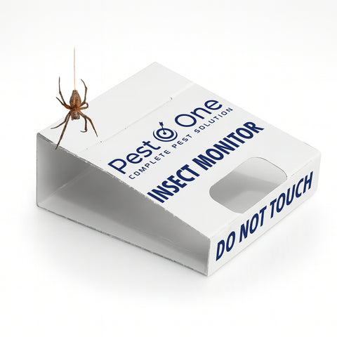 Spider and Crawling Insect Sticky Pads Non-Toxic Indoor Spider Catcher
