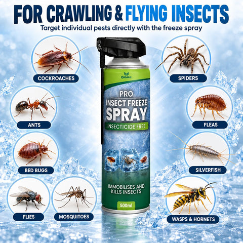 Freeze Spray Insect Killer – Natural, Non-Toxic, 500ml | Organ X
