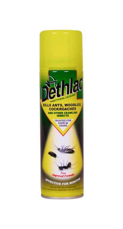 Dethlac Insecticidal Lacquer Spray – Kills Crawling Insects on Contact – Indoor & Outdoor Use (250ml)
