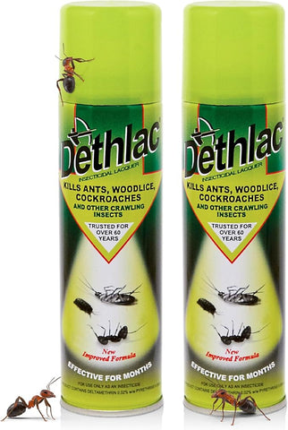 Dethlac Insecticidal Lacquer Spray – Kills Crawling Insects on Contact – Indoor & Outdoor Use (250ml)
