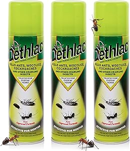 Dethlac Insecticidal Lacquer Spray – Kills Crawling Insects on Contact – Indoor & Outdoor Use (250ml)