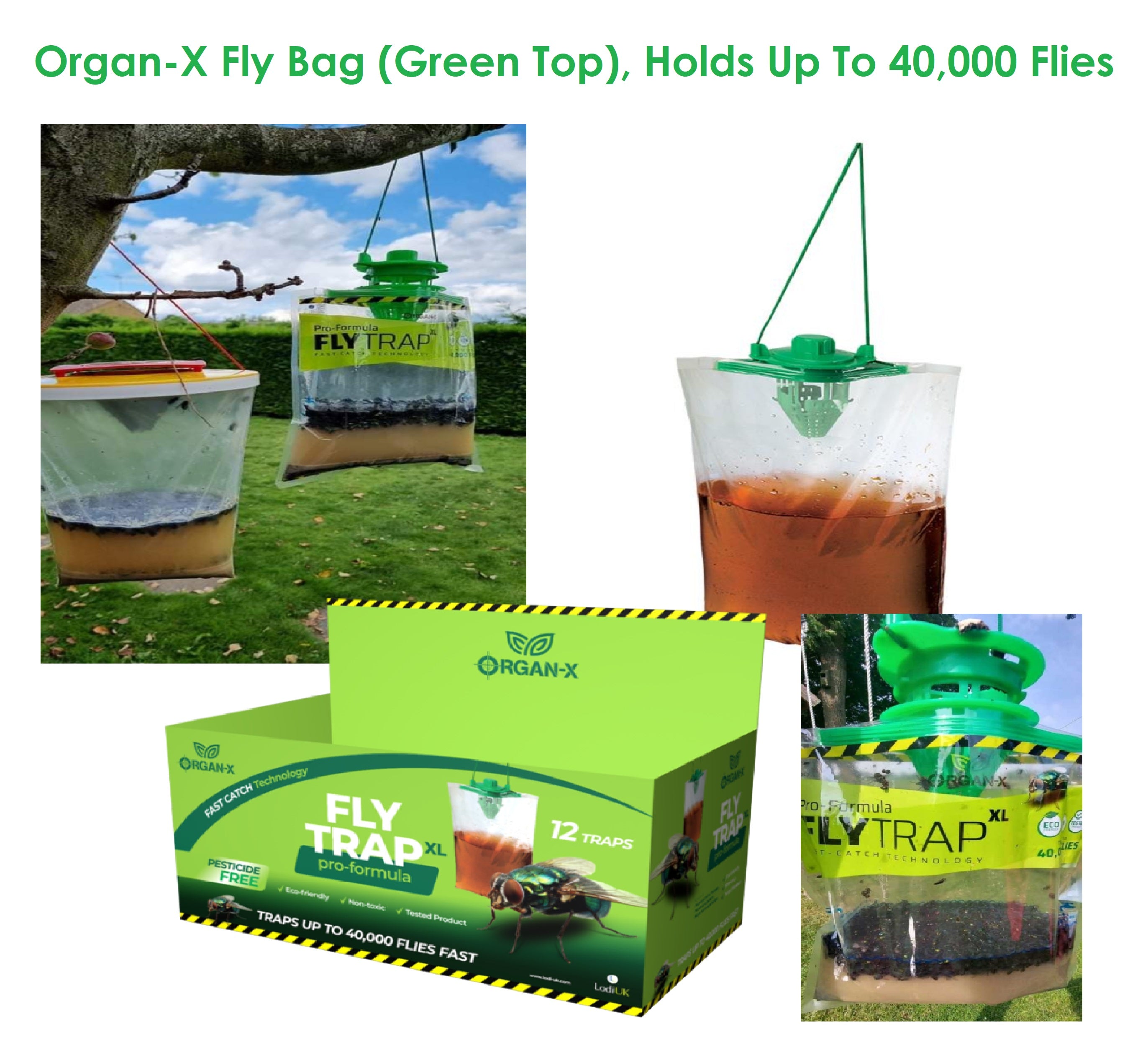 FLY TRAP Organ-X (Green Top) Fly Catcher Double Fly Catch upto
