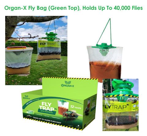 FLY TRAP Organ-X (Green Top) Fly Catcher Double Fly Catch upto 40,000 Flies Kill NON-TOXIC FAST & DOUBLE FLIES CATCH THAN OTHER FLY TRAP - Moth Control