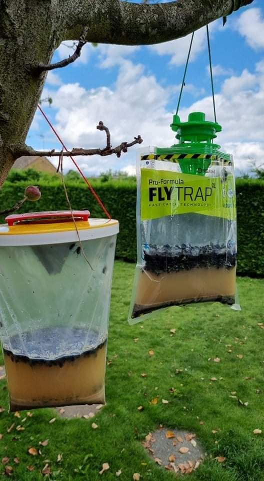 4 Pack Outdoor Hanging Fly Traps, Disposable Fly Killer Trap Bag Catcher  for Outside Farms, Pastures, Chicken Coops, Stables, Barns, Horse, Garbage  Cans, Garbage Ponds, Yard, Backyard, Patio : Amazon.in: Garden &