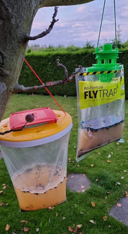 FLY TRAP Organ-X (Green Top) Fly Catcher Double Fly Catch upto 40,000 Flies Kill NON-TOXIC FAST & DOUBLE FLIES CATCH THAN OTHER FLY TRAP - Moth Control